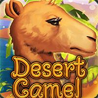 DESERT CAMEL